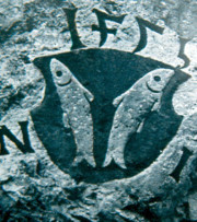 Fischgrenze zwischen Neuburg und Joshofen
