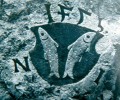 Fischergrenze zu Neuburg