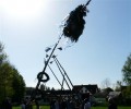 Maibaum aufstellen 2012