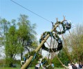Maibaum aufstellen 2012