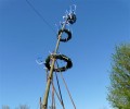 Maibaum aufstellen 2012