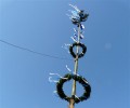 Maibaum aufstellen 2012