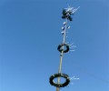 Maibaum aufstellen 2012