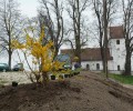 Verschönerungsaktion Friedhof und Kirchenparkplatz