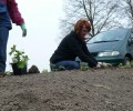 Verschönerungsaktion Friedhof und Kirchenparkplatz