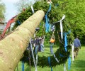 Maibaum aufstellen 2014