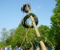 Maibaum aufstellen 2014