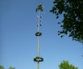Maibaum aufstellen 2014