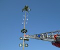 Maibaum aufstellen 2014