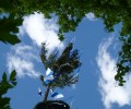 Maibaum aufstellen 2018