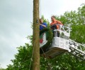 Maibaum aufstellen 2018