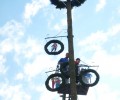 Maibaum aufstellen 2018
